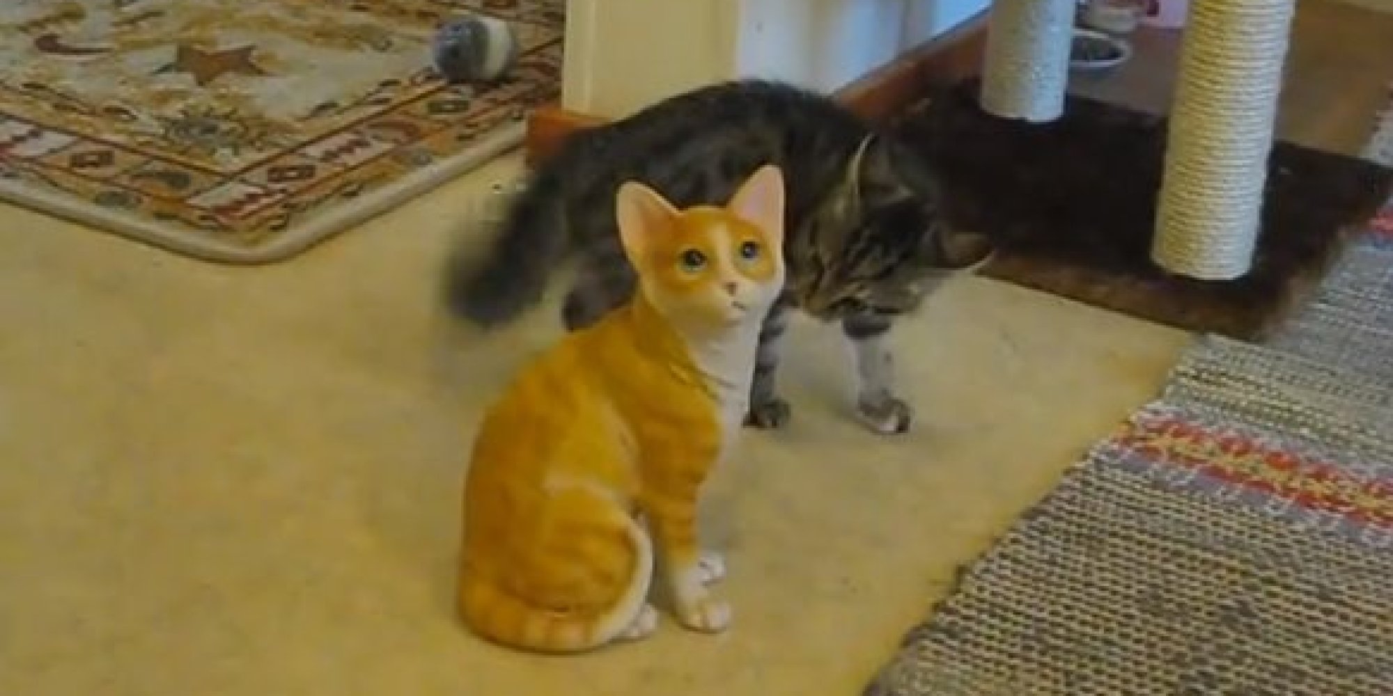 Do Yourself A Favor And Watch This Kitten Attack A Ceramic Cat | HuffPost