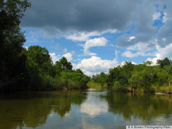 ocala national forest