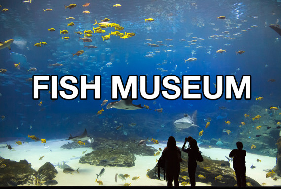 fish museum