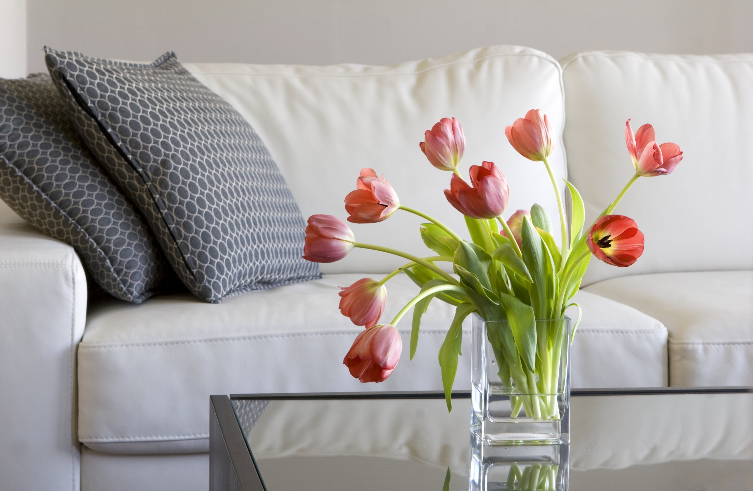 coffee table sofa