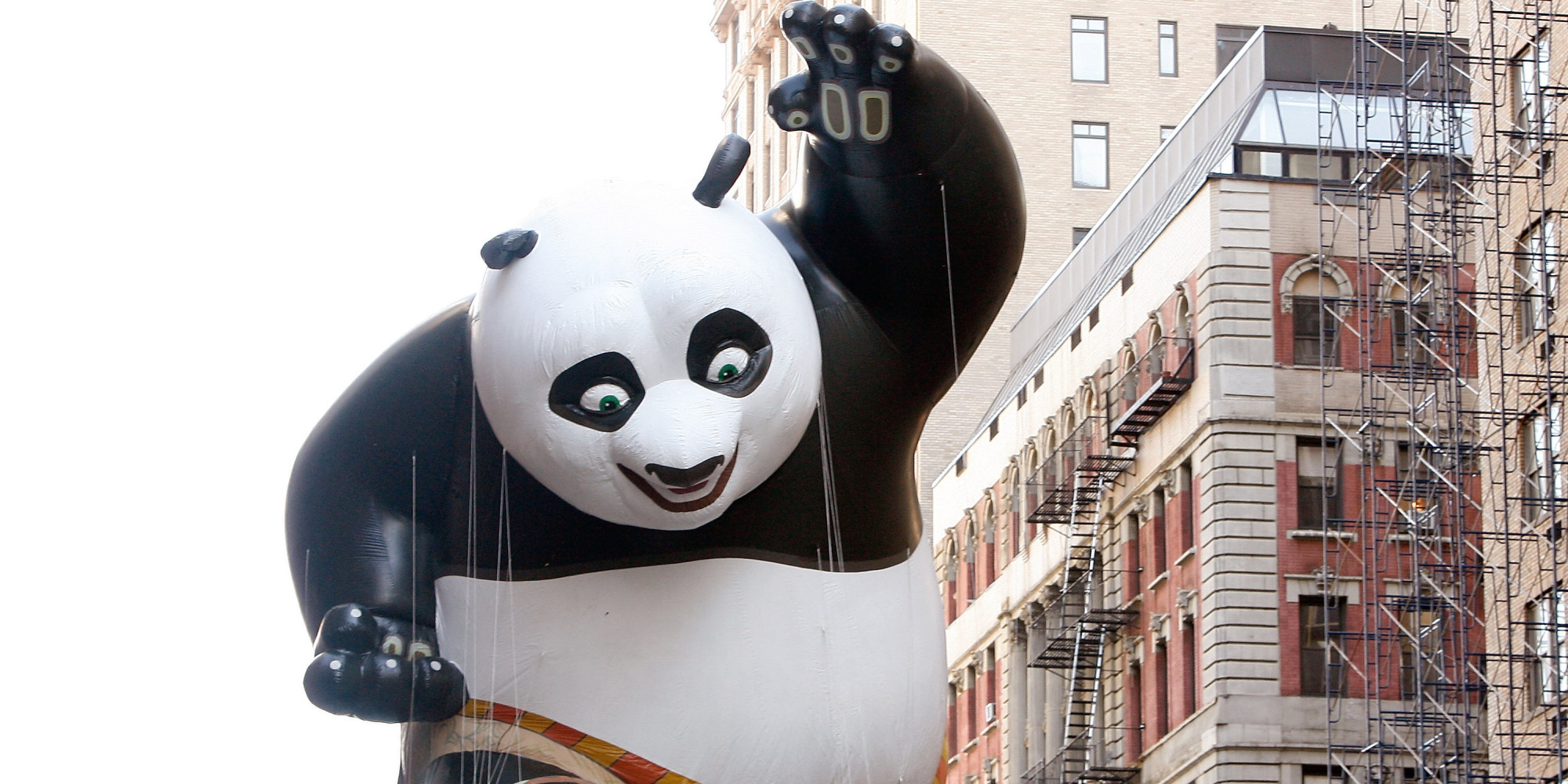 Guy Dresses Up as Kung Fu Panda to Propose | HuffPost