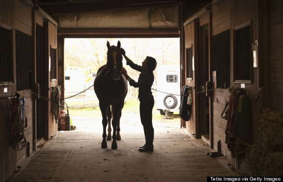 horse stable