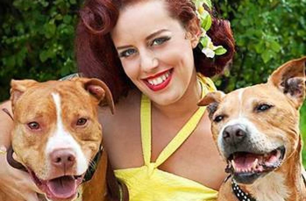 pinups for pitbulls