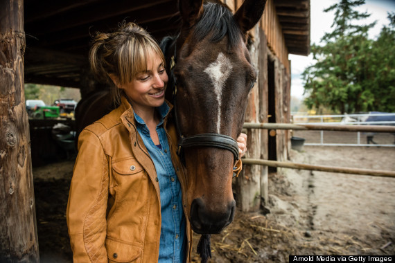 horse hug