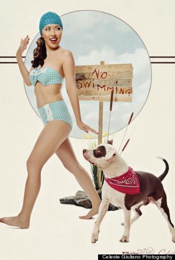 pinups for pitbulls