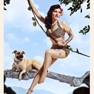 pinups for pitbulls