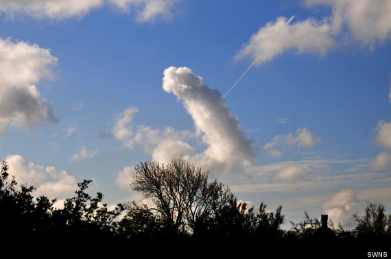 Saw something weird in the sky.  O-PENIS-CLOUD-570