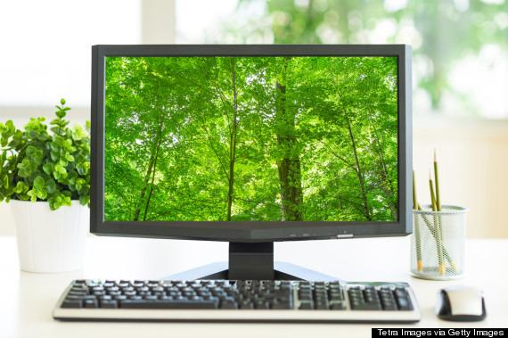 nature on computer