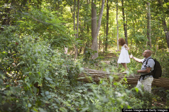 hiking woods