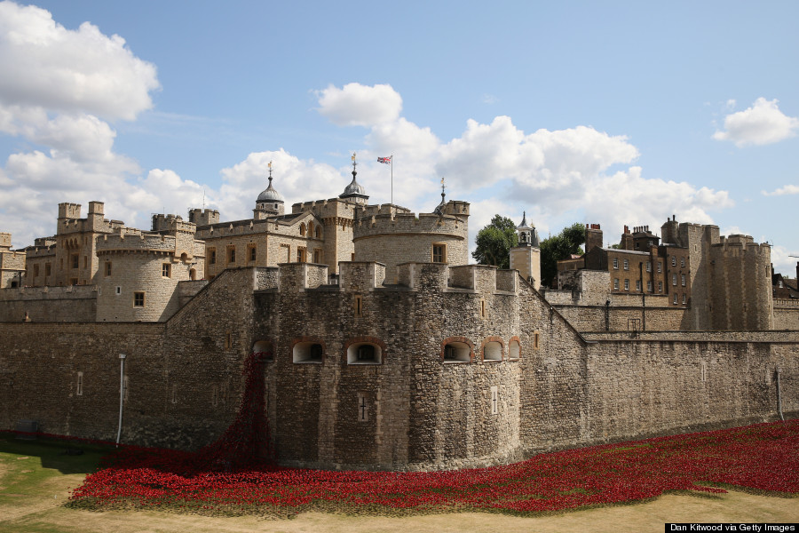 tower of london poppy