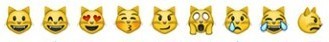 cat emoji