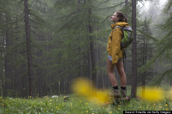 smiling forest