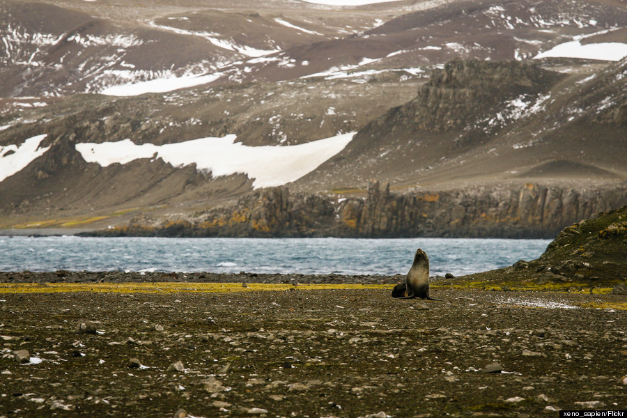 barrientos island