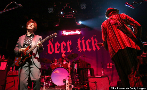 deer tick