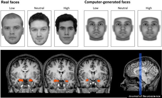 brain judges trustworthiness