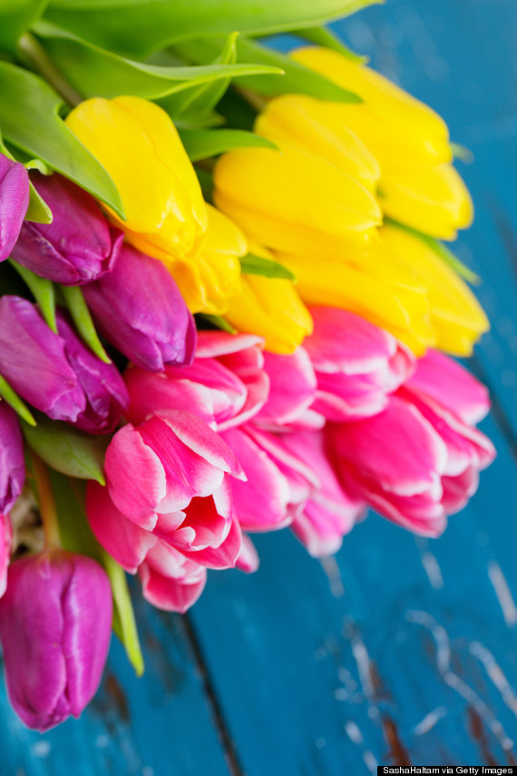 tulip bouquet