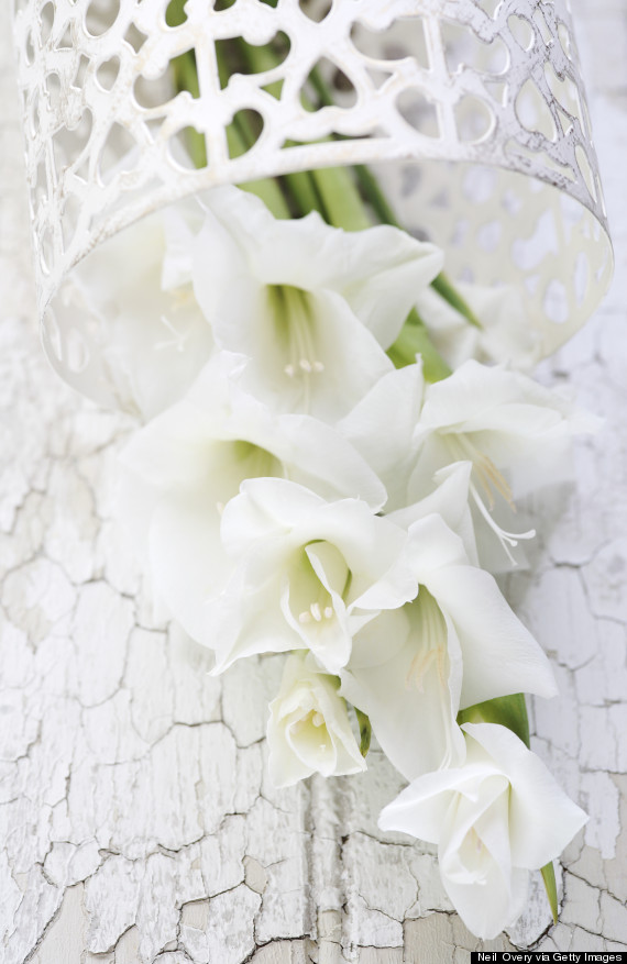 gladiolas vase