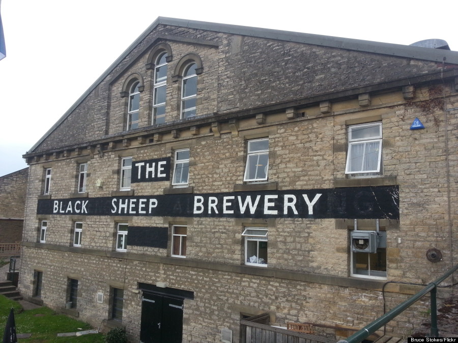 black sheep brewery