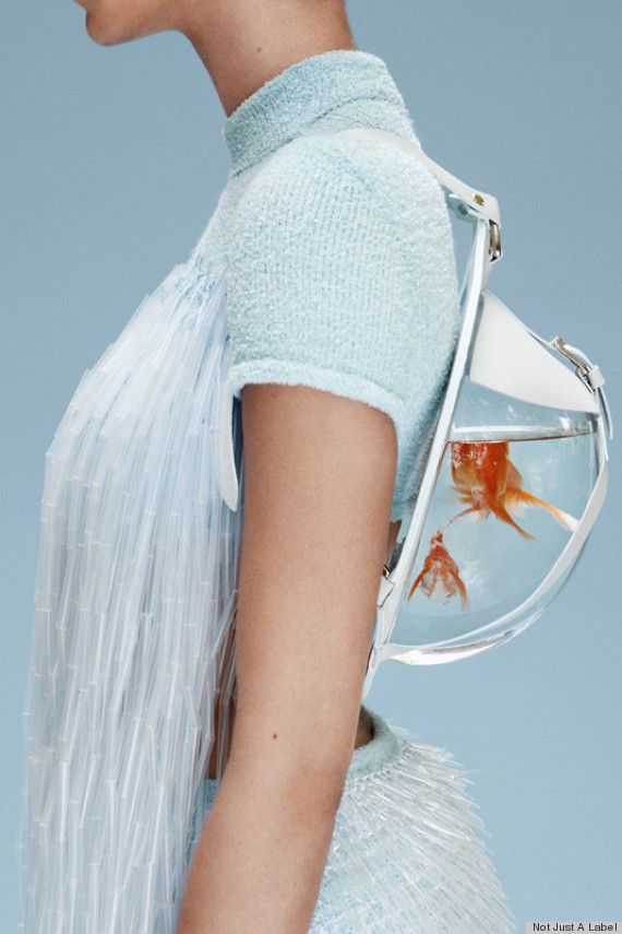This Fish Tank Backpack Will Make You Wish You Were Going Back To