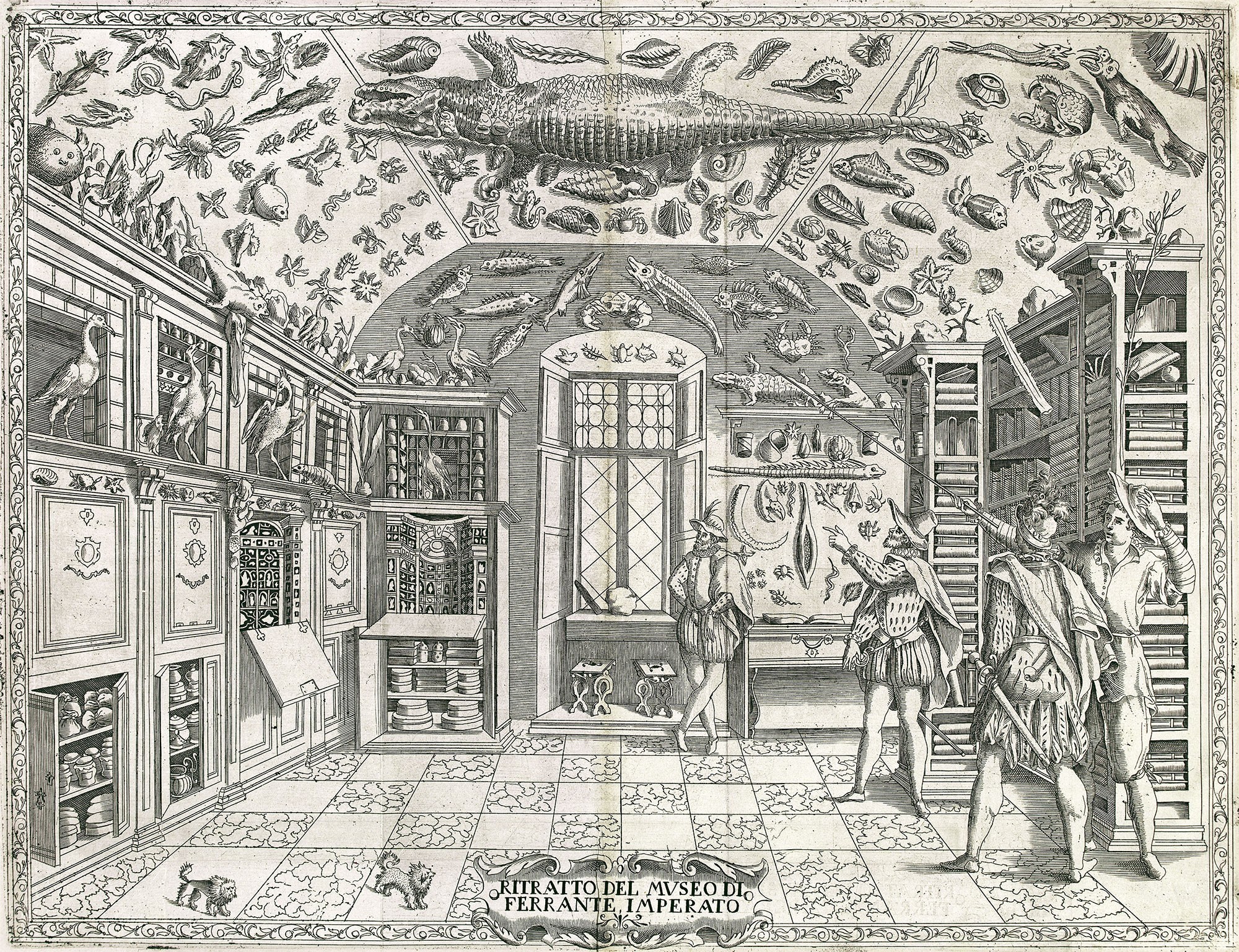 cabinets of curiosities