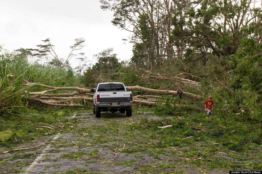 car blocked tree