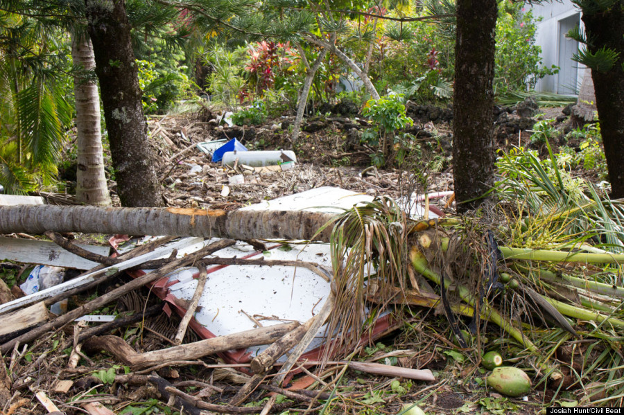 tree debris sign