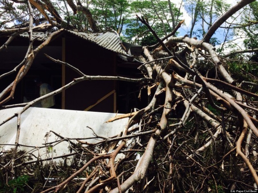 tree on house