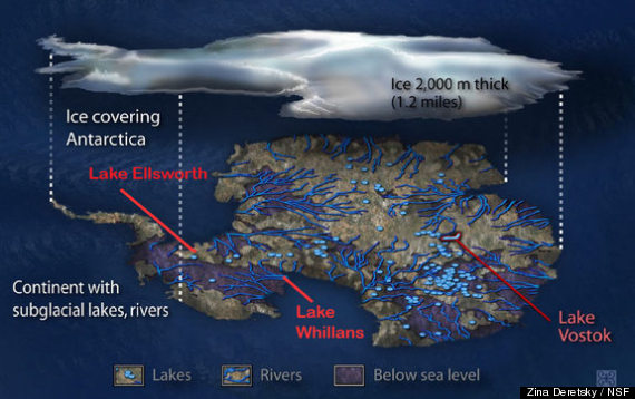 antarctic lake microbes