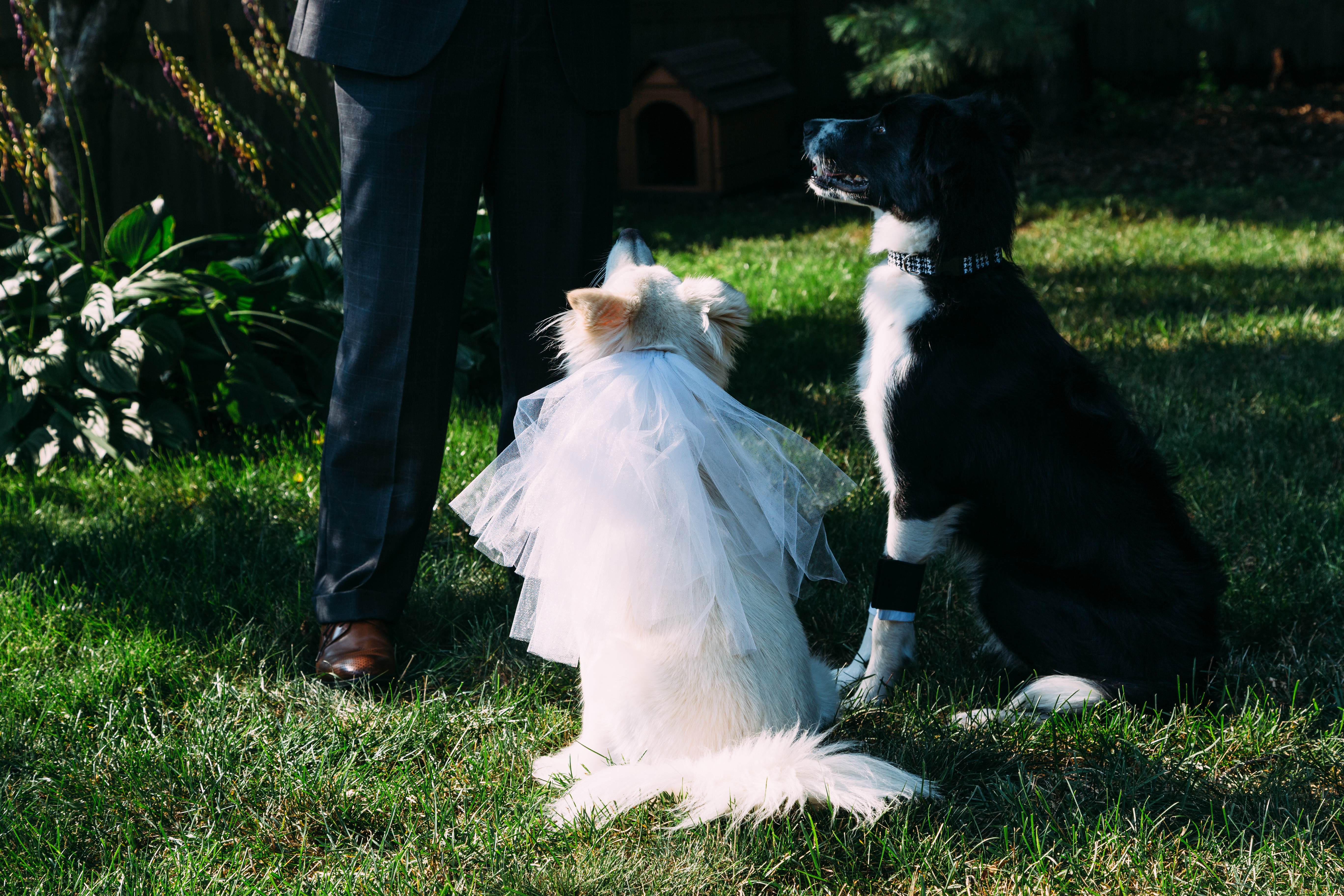 during the ceremony