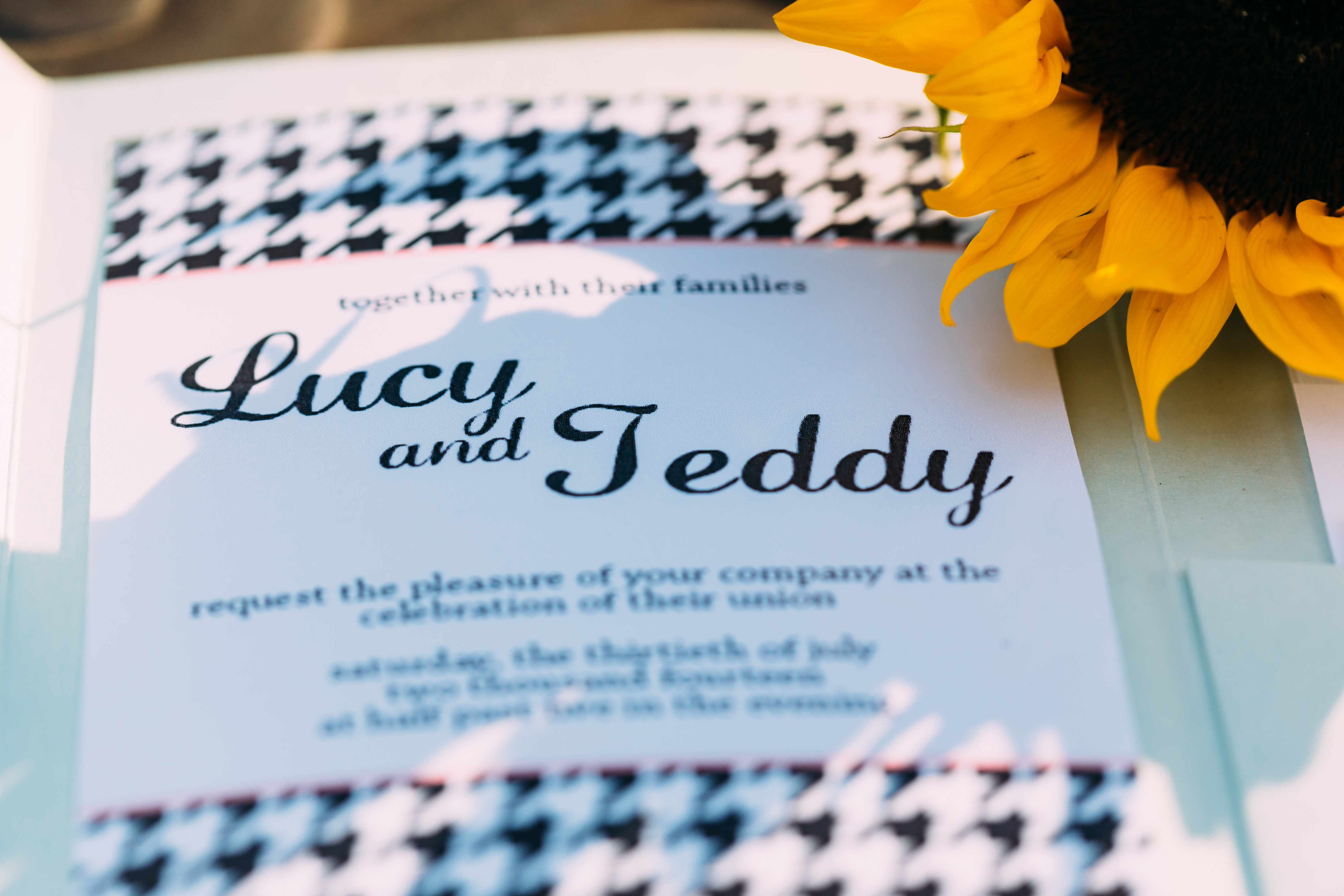 save the date lucy and teddy