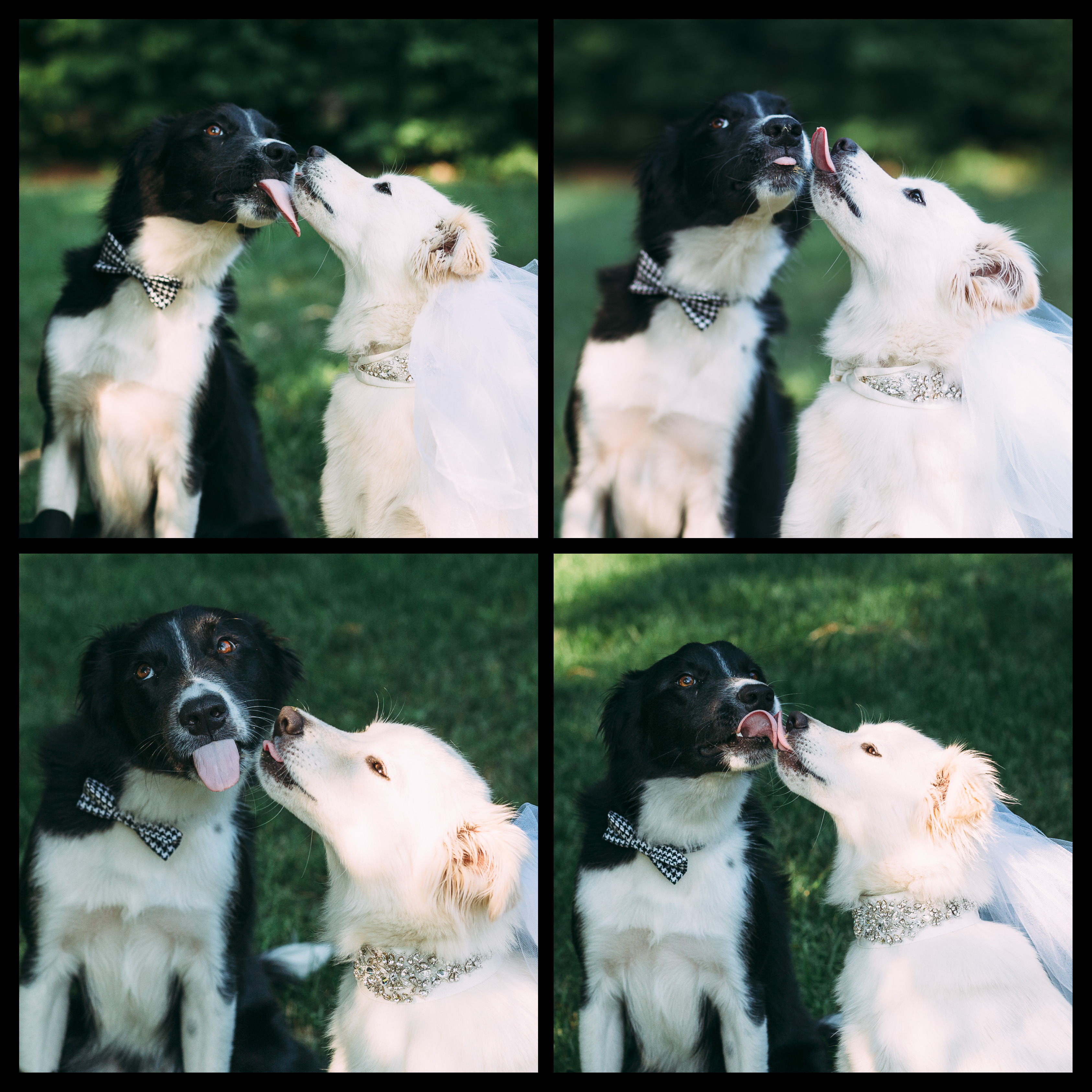 first kiss teddy and lucy