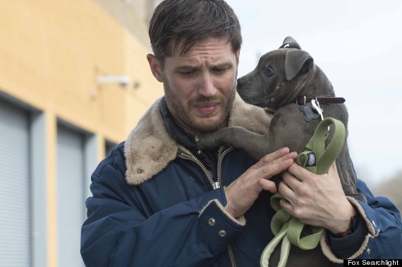 tom hardy the drop