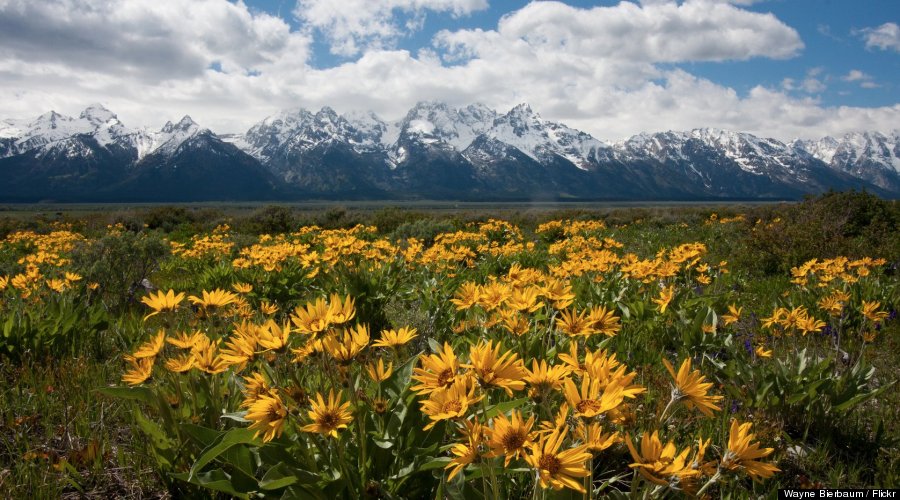 tetons national park nps