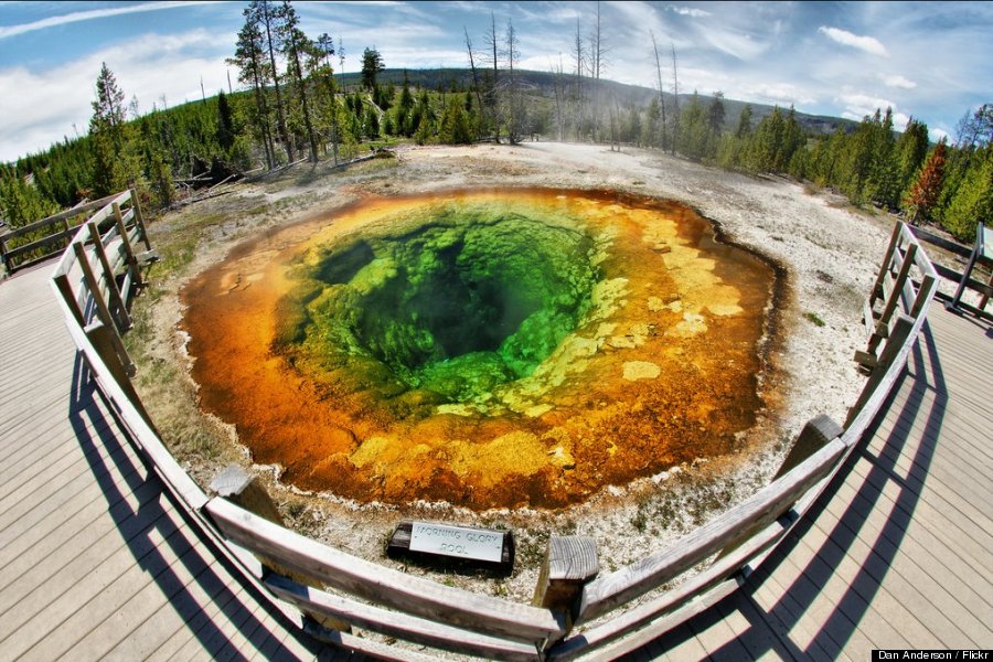 morning glory nps