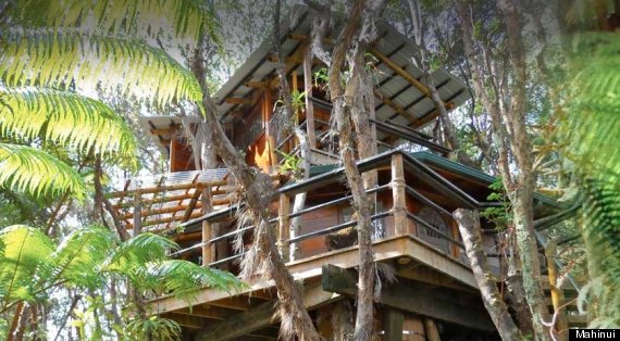 treehouse