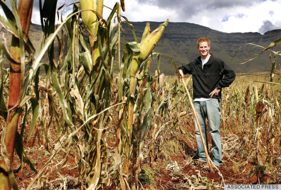 prince harry mountain