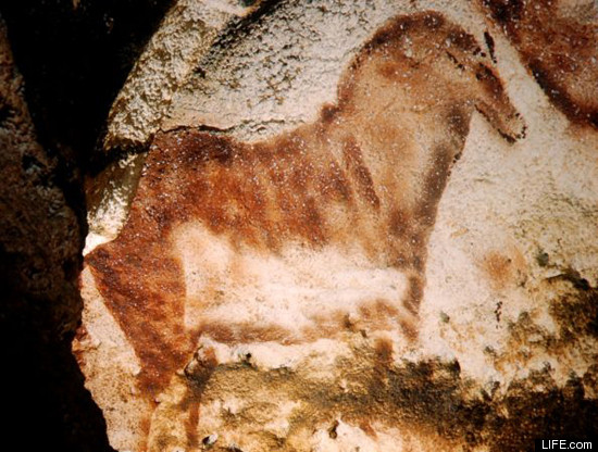 Lascaux Cave Paintings PHOTOS Rare And Never Seen Photos From LIFE   LASCAUX 