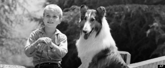 Lassie' star Jon Provost says Timmy was never trapped in a well: 'We just  don't know where that came from