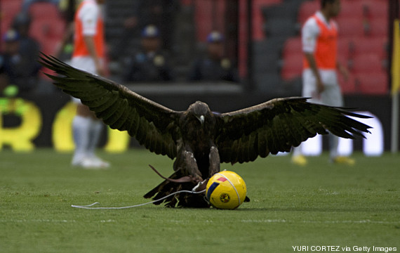 Registran en video lo que ve el Águila del América al sobrevolar el estadio  Azteca | HuffPost Voices