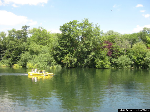 magna carta island