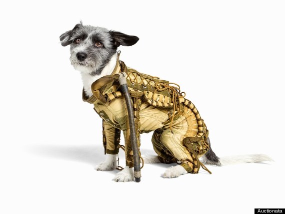 dog spacesuit