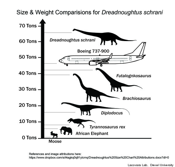 dreadnoughtus size chart