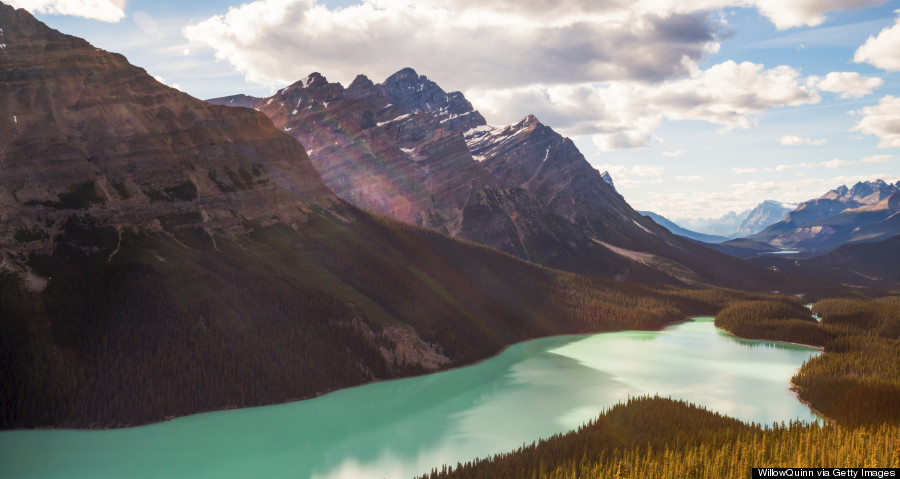 peyto lake