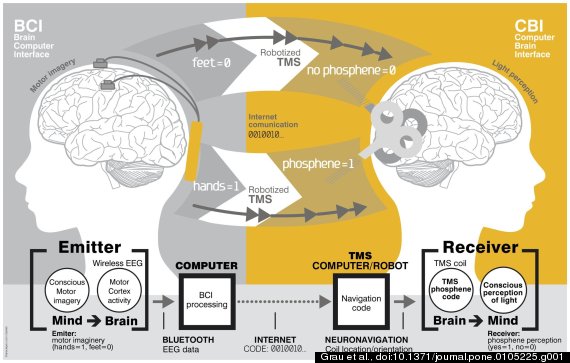 brain to brain communication