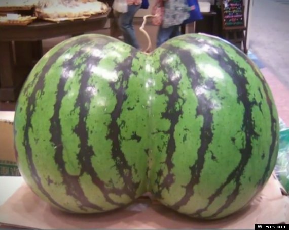 watermelon butt