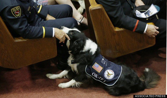 oklahoma city police dog