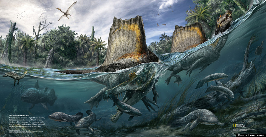 spinosaurus illustration