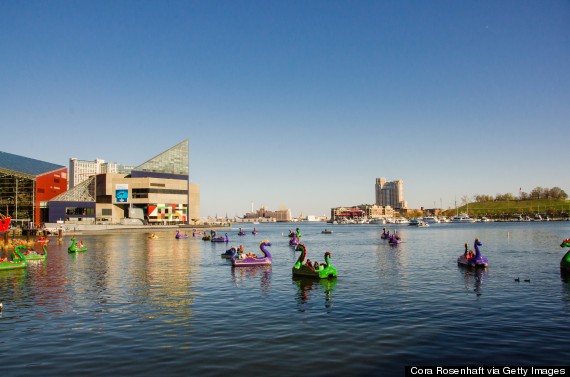 baltimore inner harbor