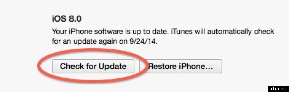 ios8 update check