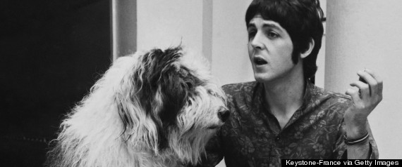 paul mccartney dog martha